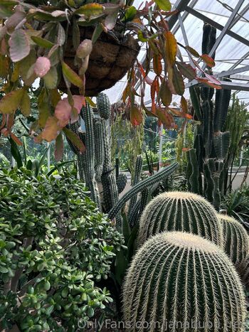 Janabubu.fre / janabubu.free nude photo #32