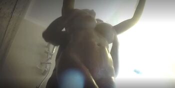 Jan Burton (Free / janburtonfree nude photo #37