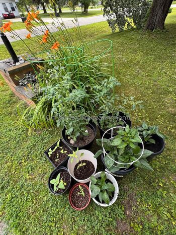 jea / jeannnnnnn / jeanlouiee / jeanlouiep / sativatreebaby / mentallyilljimcow nude photo #22