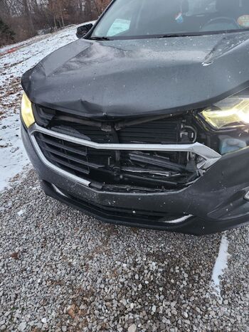 Louise / jeez.louise / fiirstlostgiirl nude photo #6