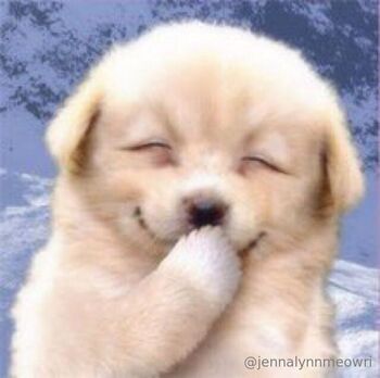 Meowr / jennalynnmeowri nude photo #20