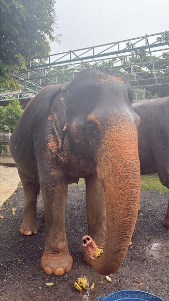 Jess / jessieeex nude photo #9