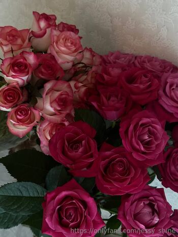 Shiny Jessy / jessy_shiny nude photo #3