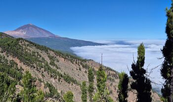 Joliettes Jolly Junkyar / joliettesgarage nude photo #22