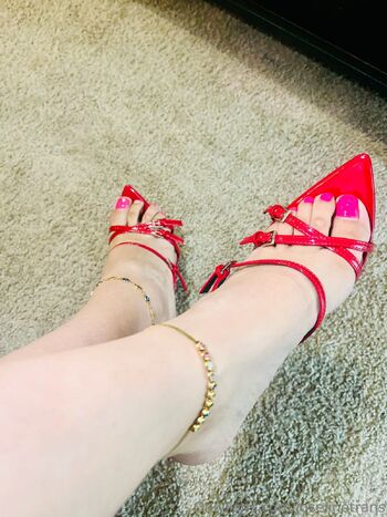 Bella joselin / joselinetrans nude photo #15