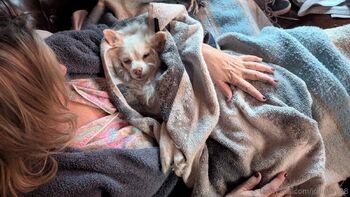 Josie mature wildcatmommystepmo / josieray88 nude photo #11