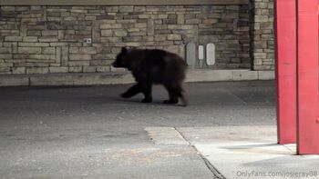 Josie mature wildcatmommystepmo / josieray88 nude photo #15