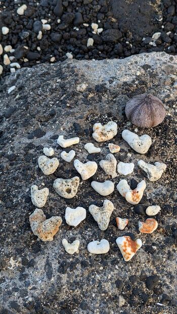 Josie mature wildcatmommystepmo / josieray88 nude photo #16