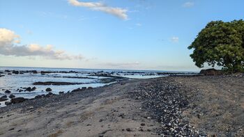 Josie mature wildcatmommystepmo / josieray88 nude photo #17