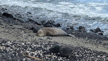 Josie mature wildcatmommystepmo / josieray88 nude photo #21