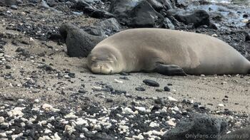 Josie mature wildcatmommystepmo / josieray88 nude photo #22