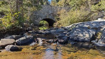 Josie mature wildcatmommystepmo / josieray88 nude photo #24