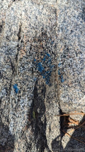 Josie mature wildcatmommystepmo / josieray88 nude photo #26