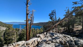 Josie mature wildcatmommystepmo / josieray88 nude photo #27