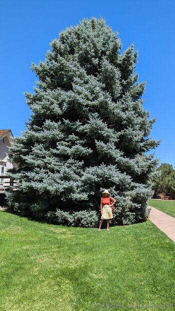 Josie mature wildcatmommystepmo / josieray88 nude photo #34