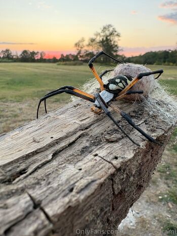 Willo / justteasingorami nude photo #9