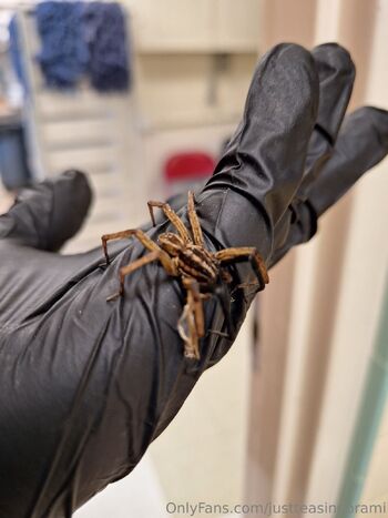 Willo / justteasingorami nude photo #10