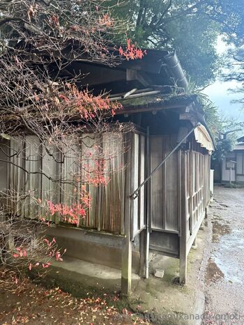 餅月かなで mochizuki kanad / kanade_omoti nude photo #15