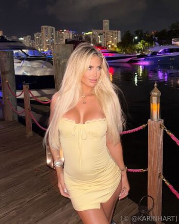 karin hart / karinhart / therealkarinhart nude photo #8