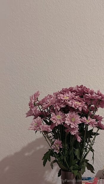 JUNGE KAROLINE / karolin_ka / hier.istkarolinka / karolinkahier nude photo #30