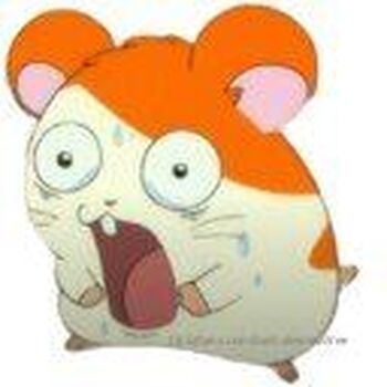 Kasha (FREE / kashalionessfree nude photo #1