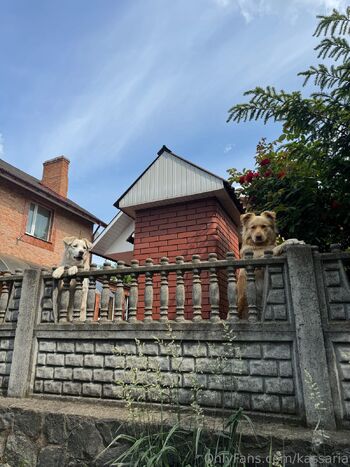 Kessi / kassaria nude photo #26