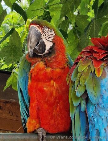 𝐊𝐚𝐭𝐲 𝐃𝐢𝐚𝐦𝐨𝐧𝐝 / katy_diamond nude photo #2