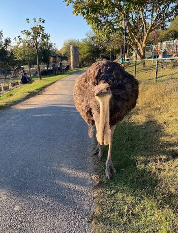 𝐊𝐚𝐭𝐲 𝐃𝐢𝐚𝐦𝐨𝐧𝐝 / katy_diamond nude photo #3