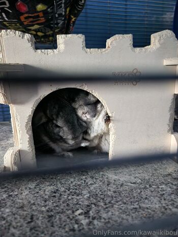 Kawaii Kibou / kawaiikibou / kawaii_kibou nude photo #1