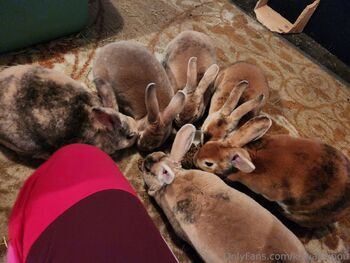 Kawaii Kibou / kawaiikibou / kawaii_kibou nude photo #3