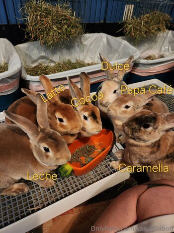 Kawaii Kibou / kawaiikibou / kawaii_kibou nude photo #4