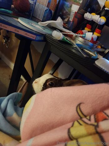 Kawaii Kibou / kawaiikibou / kawaii_kibou nude photo #5