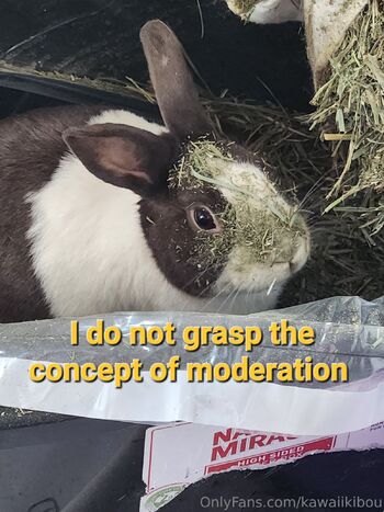 Kawaii Kibou / kawaiikibou / kawaii_kibou nude photo #6