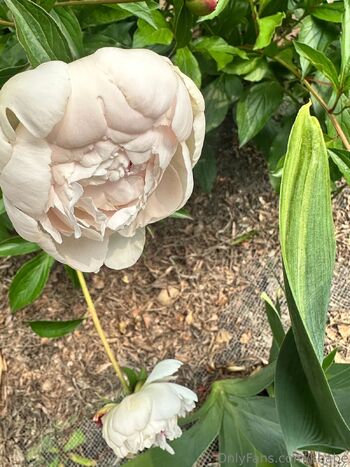 Kbabe / kbabe nude photo #1