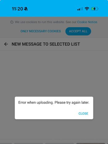 Juliana mille / killermillerufc / killermillermma nude photo #12