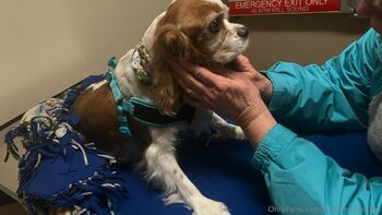 Kimberly Kupp / kimberlykupps nude photo #4