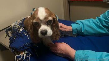 Kimberly Kupp / kimberlykupps nude photo #6