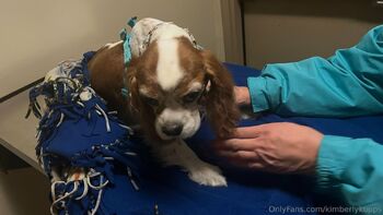 Kimberly Kupp / kimberlykupps nude photo #7