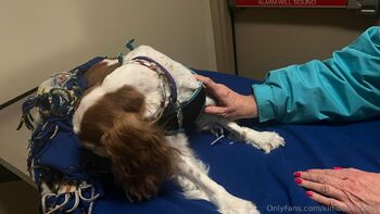 Kimberly Kupp / kimberlykupps nude photo #8