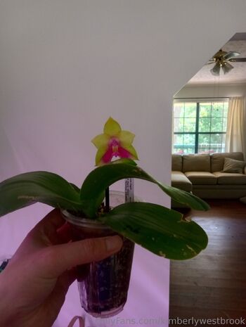 Kimberly Westbroo / kimberlywestbrook nude photo #12