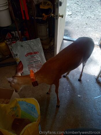 Kimberly Westbroo / kimberlywestbrook nude photo #13