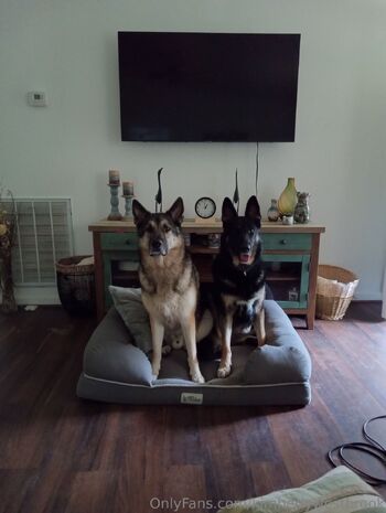 Kimberly Westbroo / kimberlywestbrook nude photo #14