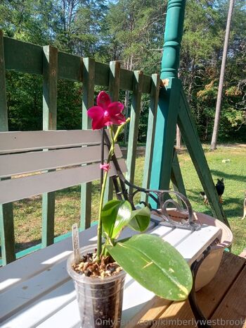 Kimberly Westbroo / kimberlywestbrook nude photo #16