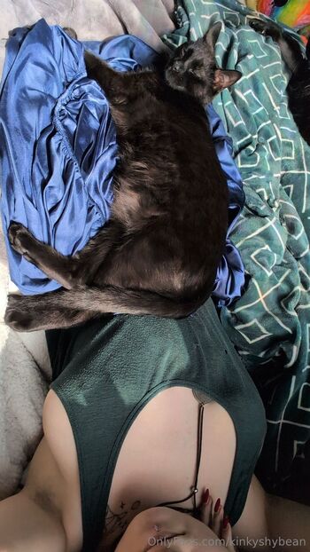 VelvetCosmicEclips / kinkyshybean nude photo #10