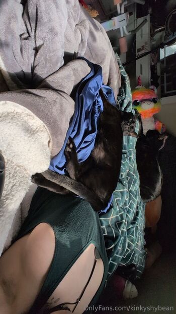 VelvetCosmicEclips / kinkyshybean nude photo #11