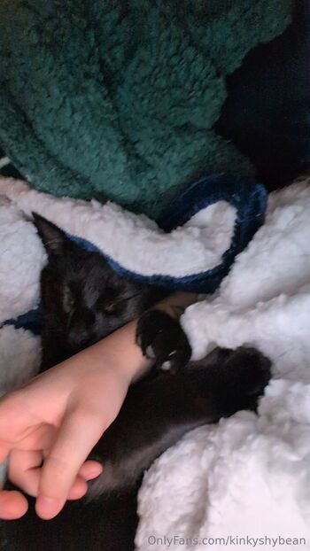 VelvetCosmicEclips / kinkyshybean nude photo #17