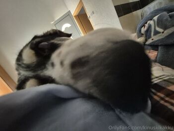 Kinuski Kakk / kinuskikakku / kinuski_kakku nude photo #5