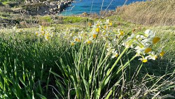 KisicaLove Make Customs / kisicafree / kisicaxx / kisicalive nude photo #19