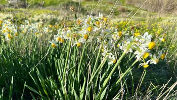 KisicaLove Make Customs / kisicafree / kisicaxx / kisicalive nude photo #20