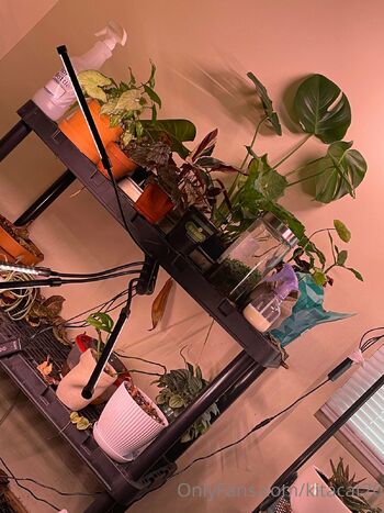 Kati / kitacat20 nude photo #9